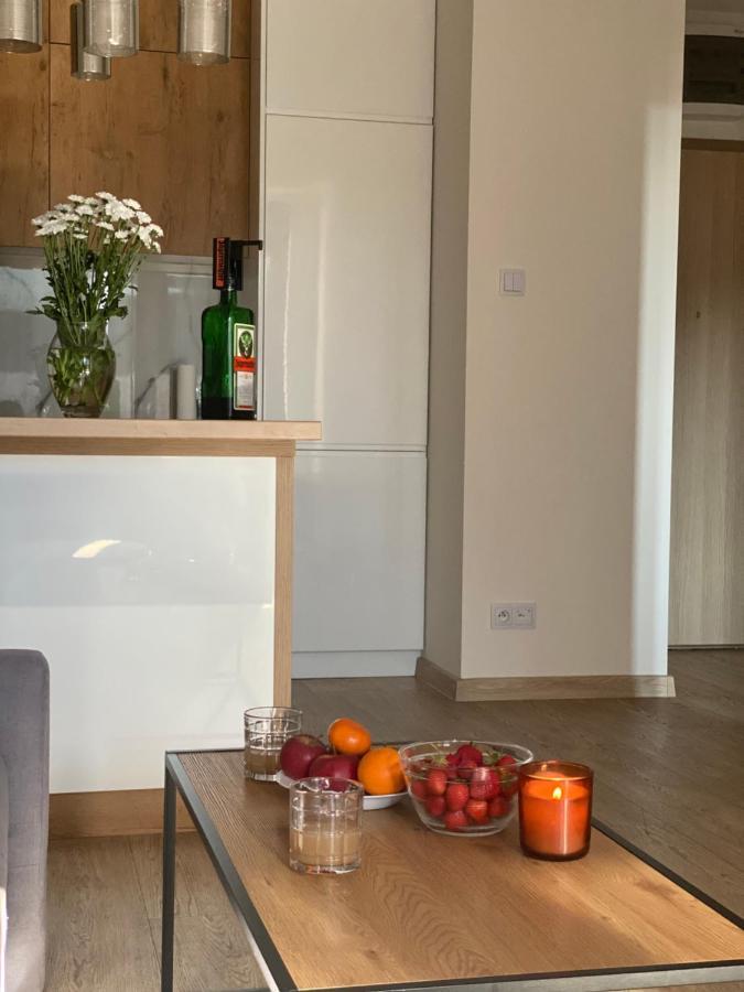 Modern Apartments & Free Parking Гожув-Велькопольски Экстерьер фото